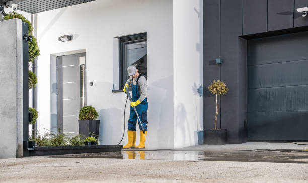 Professional Pressure Washing in Sorgho, KY